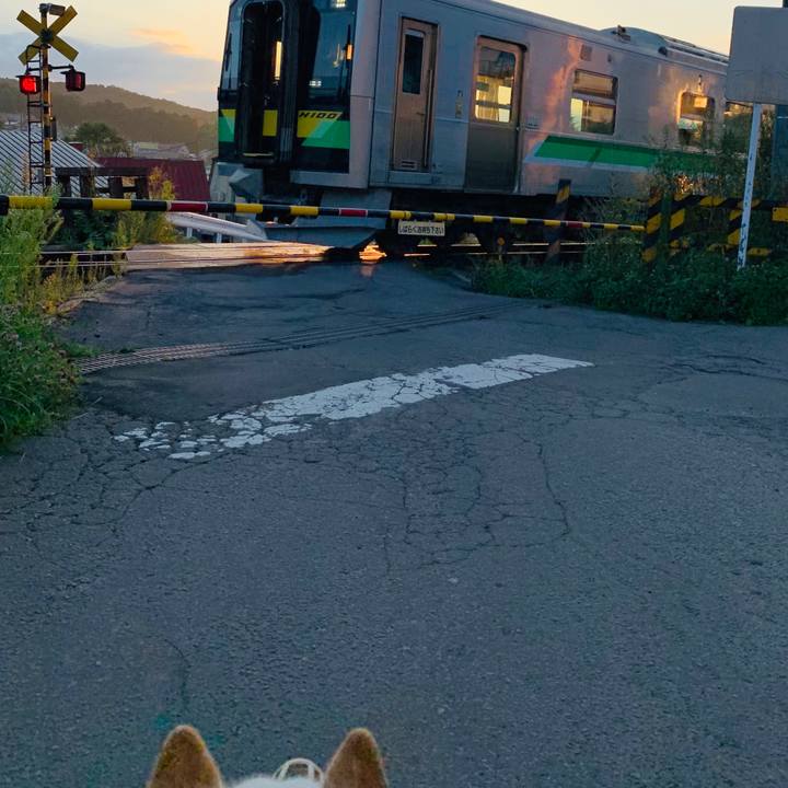 0d5f7b19 904b 4ecc 87d4 8fe3f16ad219 1597611504854