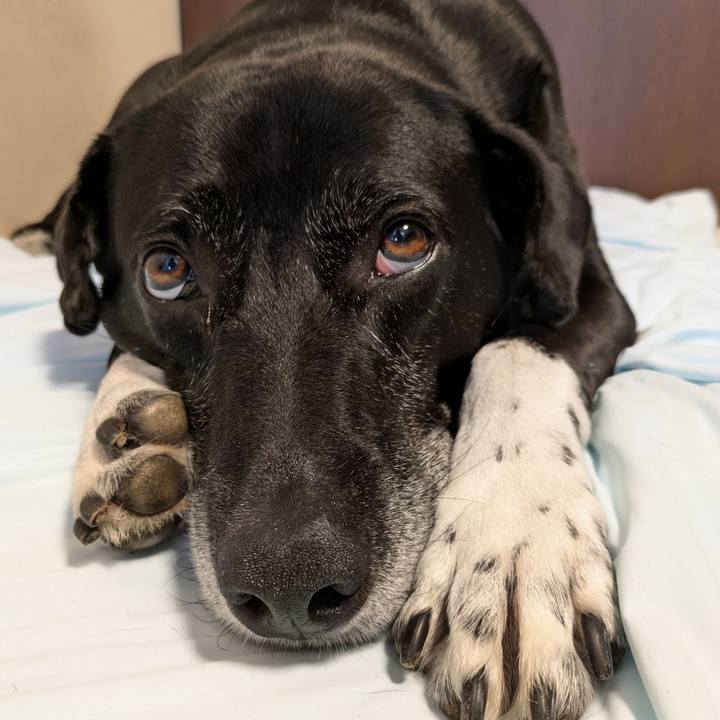 0d5faab8 c0b6 4a4d b539 6ae5425b7be3 1720323993597