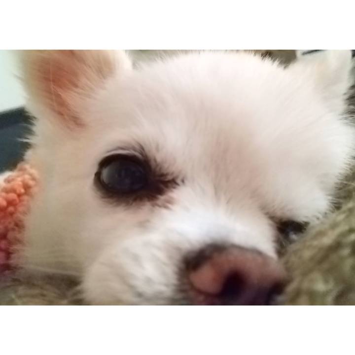 0d5fc26d 0389 4c0f 85ec f95e4a21e948 1673735214383