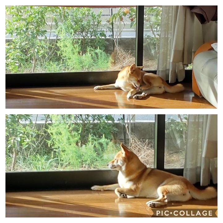 0d5ffe91 84b5 446b bbd3 c8396646629a 1665188586760