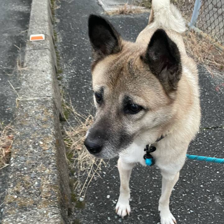 0d6042aa 92d5 4490 ac8c 4f955eb9a2fe 1702556138891