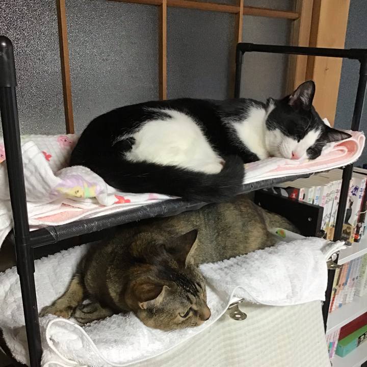 0d6042d3 e12c 46e2 b507 381a54dddaf7 1634876348369