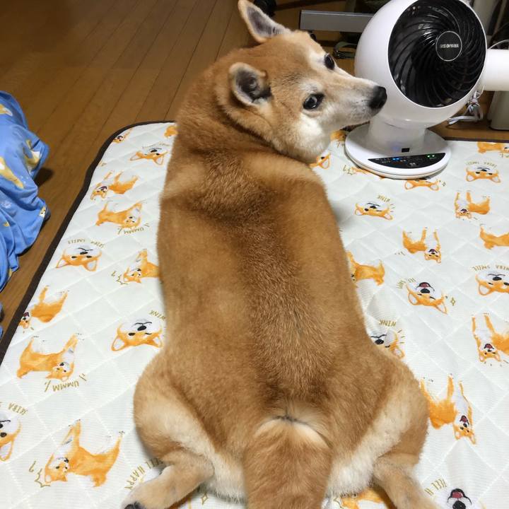 0d60485e 4679 4d59 9c76 bad5bd1d8104 1568382217995