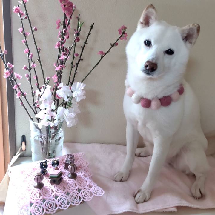 0d60523d cbcb 4cfb afe5 346463eba0dd 1677808948146