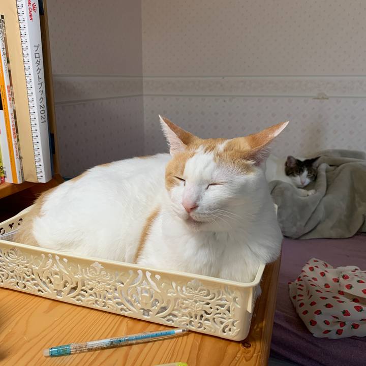 0d605a59 9618 4617 ad88 f5534f193c80 1652821785165