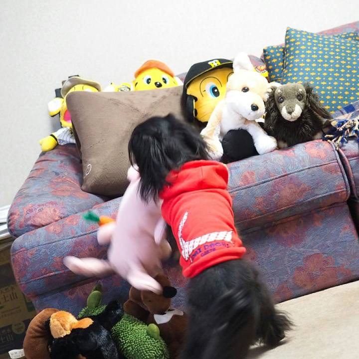 0d60657b 3542 40f2 8aa5 26e63312076a 1511924487777