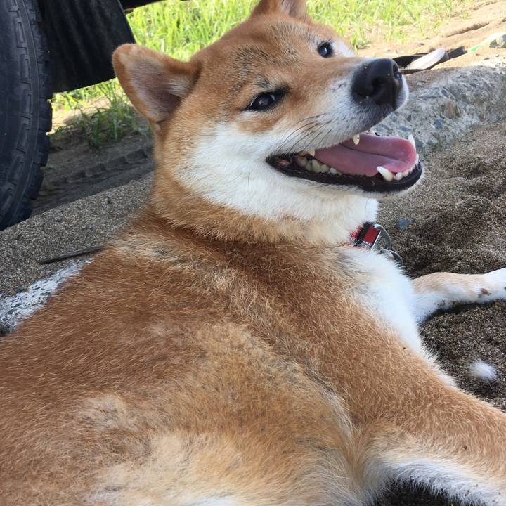 0d606cc6 190a 4450 833d eeffb45fa688 1535926873153