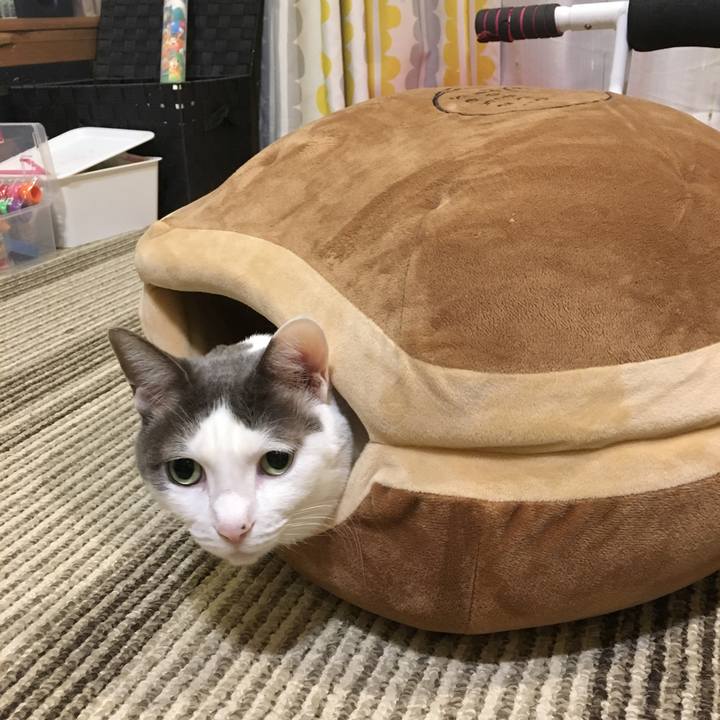 0d60de98 7f25 4435 af1b 880536b77cb9 1546857762407