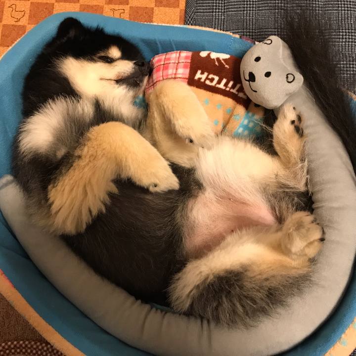 0d611a35 554f 4a91 9a85 de45d7054a47 1548698890244