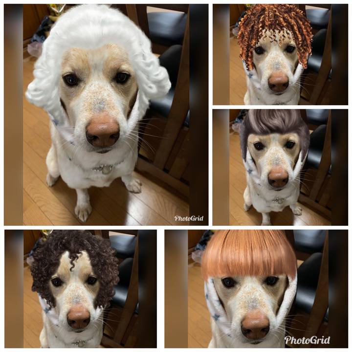 0d613ff2 4c04 4c07 a5c4 6ce4c44c7f0c 1557470965018