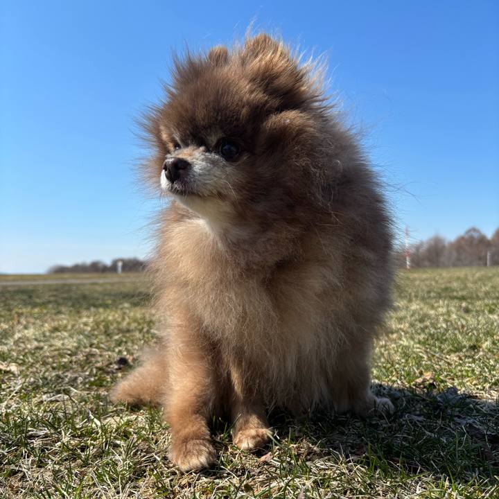 0d615288 6ba2 4235 a4b4 9b518b647e09 1774402763381