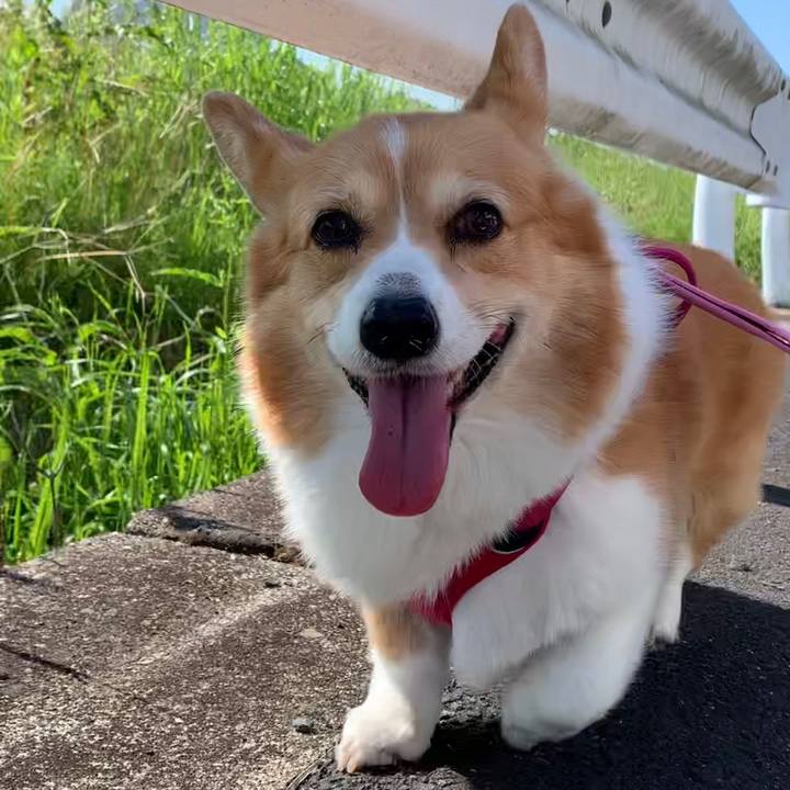 0d6156a8 0930 4fdc 9818 fc6d9a62a6dc 1683072845574