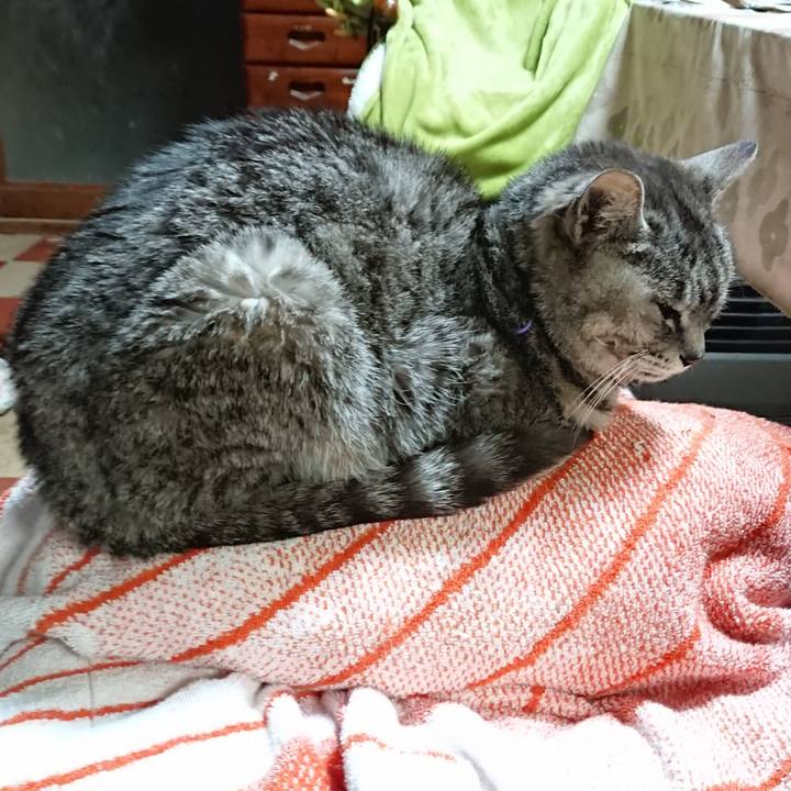 0d6158b6 bdc7 43aa 8c9e 3f253a4b2560 1584391184221