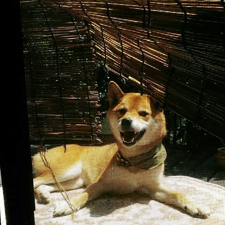 0d6158e1 983c 4701 b62a 1b4e0a94d063 1532404459817