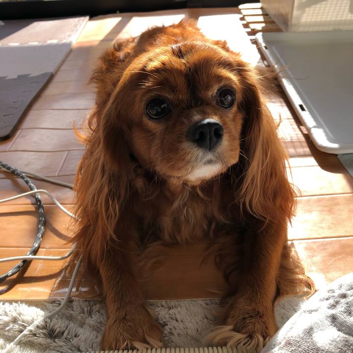 0d617940 e44c 4a10 a825 deffb427bad4 1639790120522