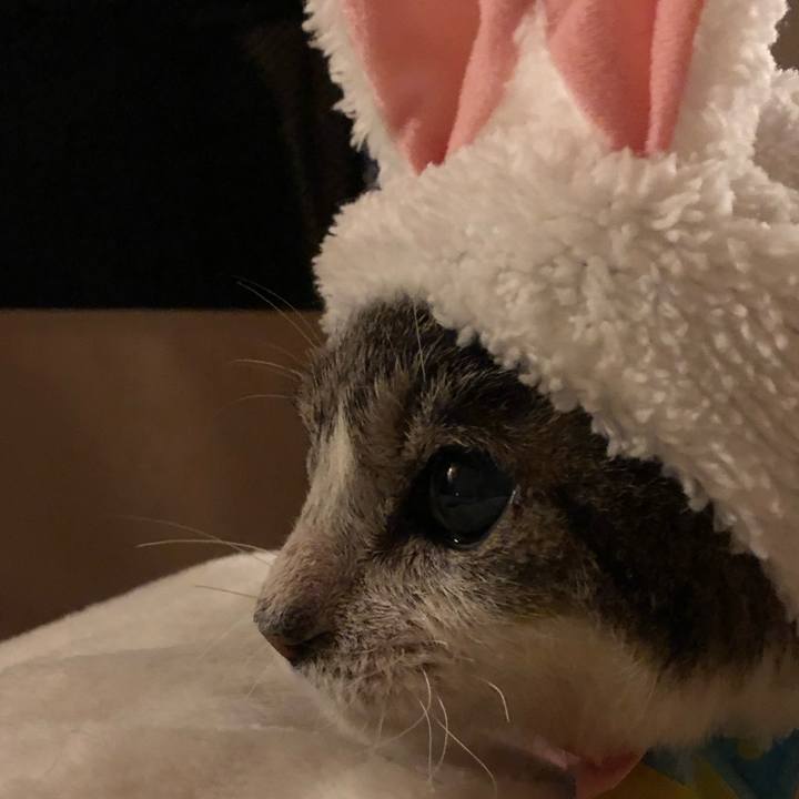 0d61c645 f011 494d ac81 9af5e02e37b4 1548071572737