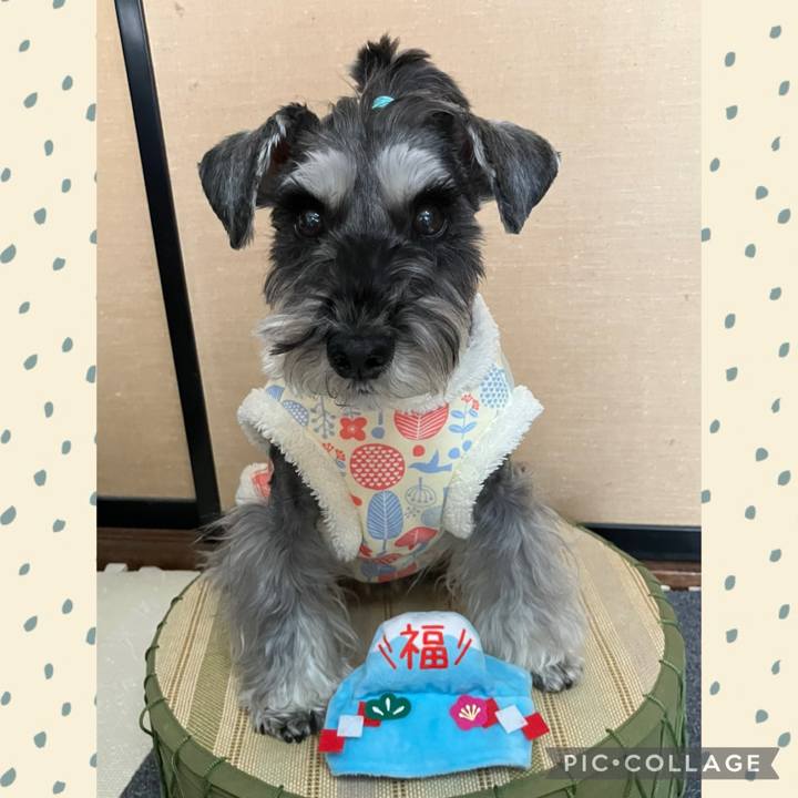 0d61f9f0 472e 4d3f 880a ce05b537a2e8 1735707351223