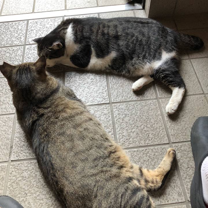 0d626693 80c8 41f5 9c42 c9b3ed26f0f6 1535416882370