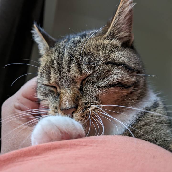 0d626bb3 553e 4374 8fec b9fd77d07c08 1686628309196