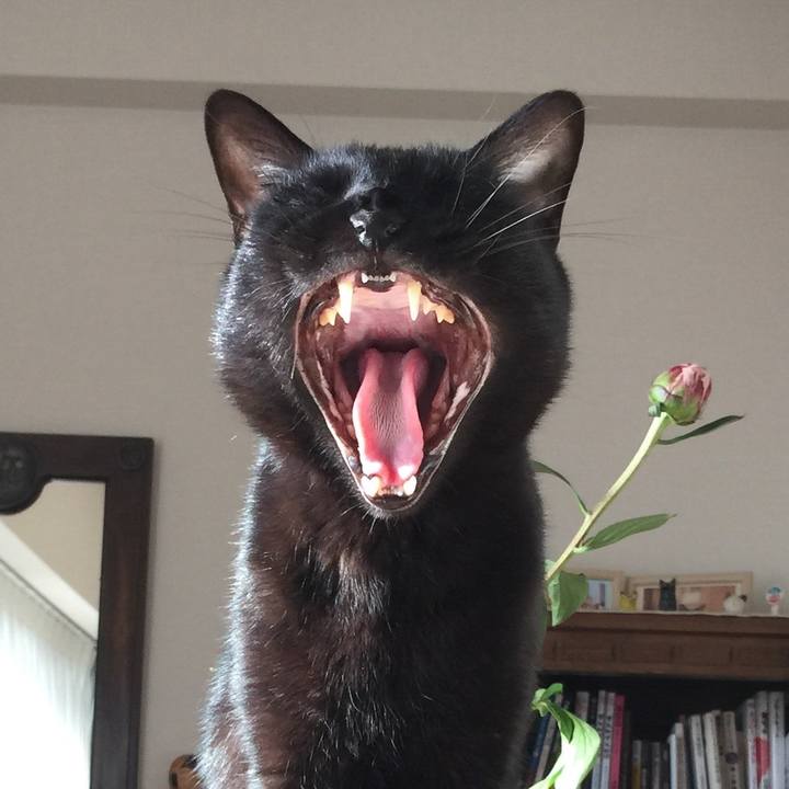 0d628421 99fe 41d6 b525 b057b683aeee 1525506906253