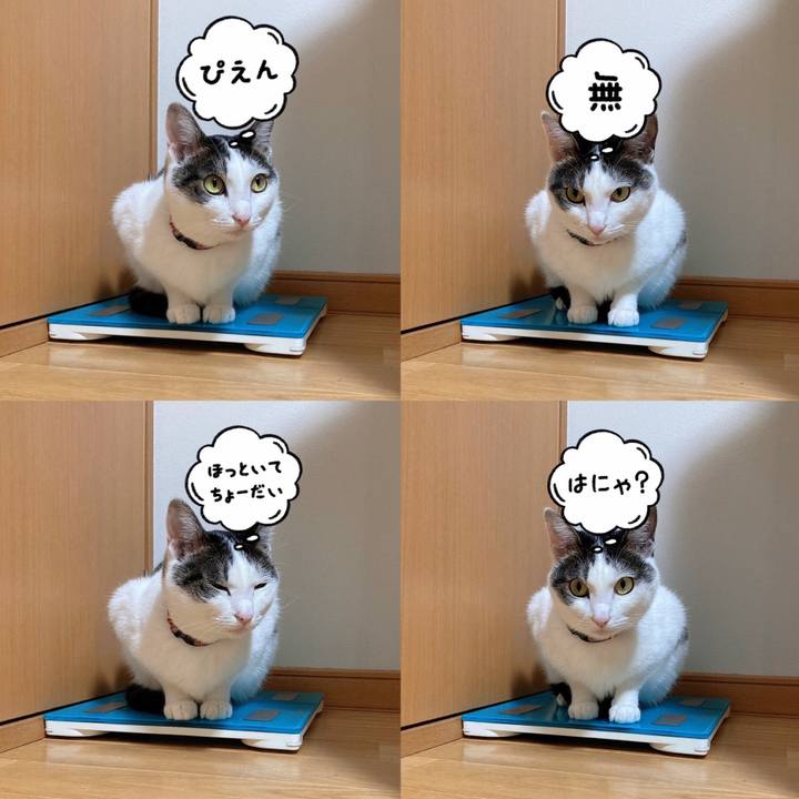 0d62f650 5bce 47cb 9bd6 a08d5afed95e 1632701540153