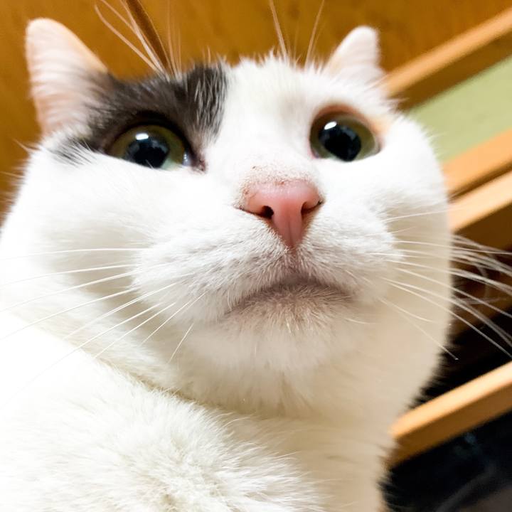 0d631280 591c 420a a1d2 b182b5c95d6b 1548119888684