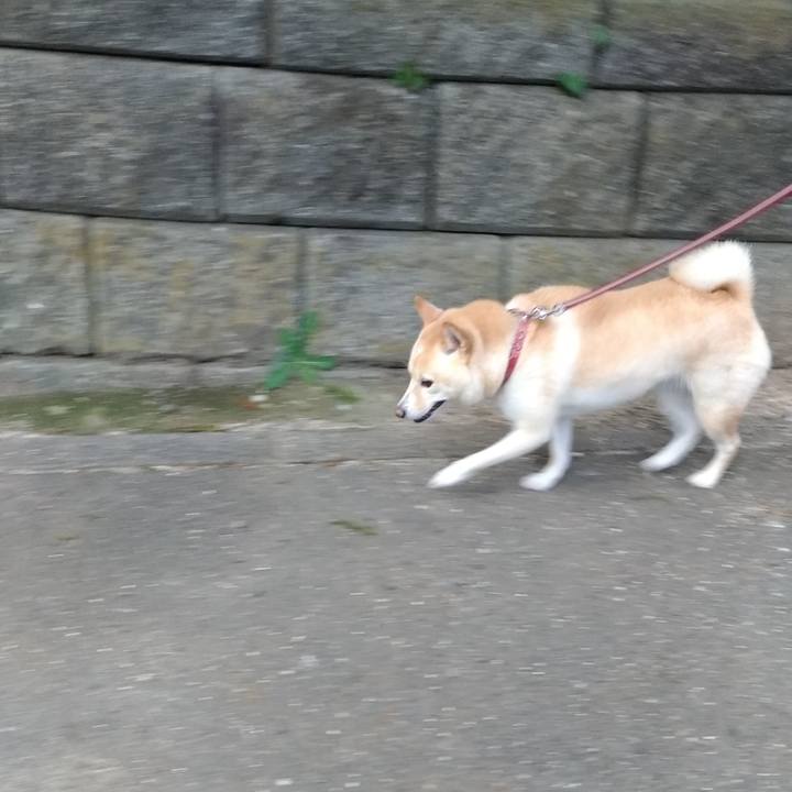 0d63950d f944 40b8 98b5 20f2b6aead50 1602801580901