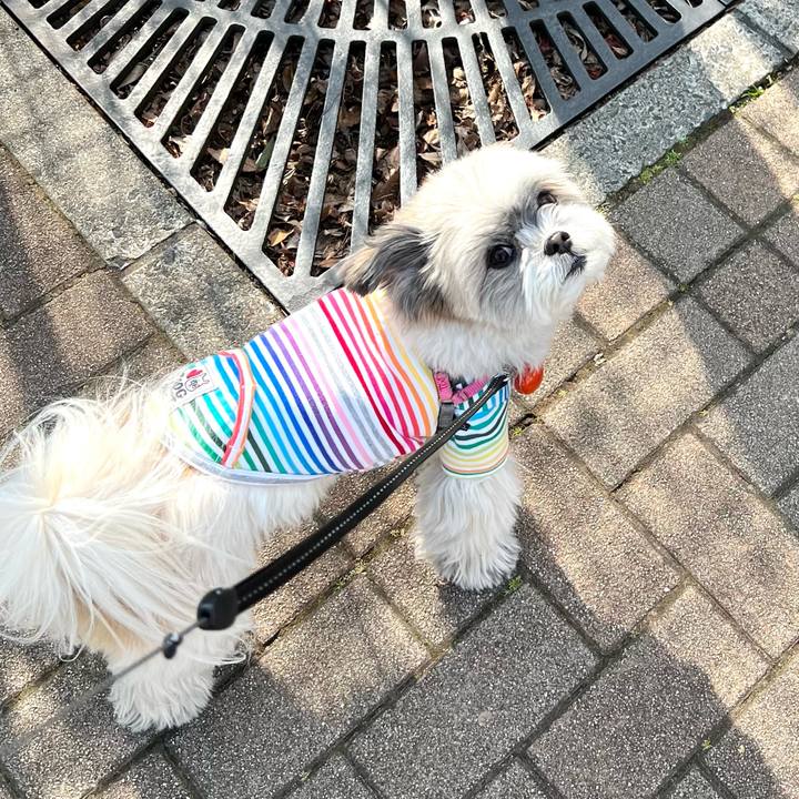 0d6399b8 4f1b 46cd 9fe0 3e6159de59ca 1646282693727