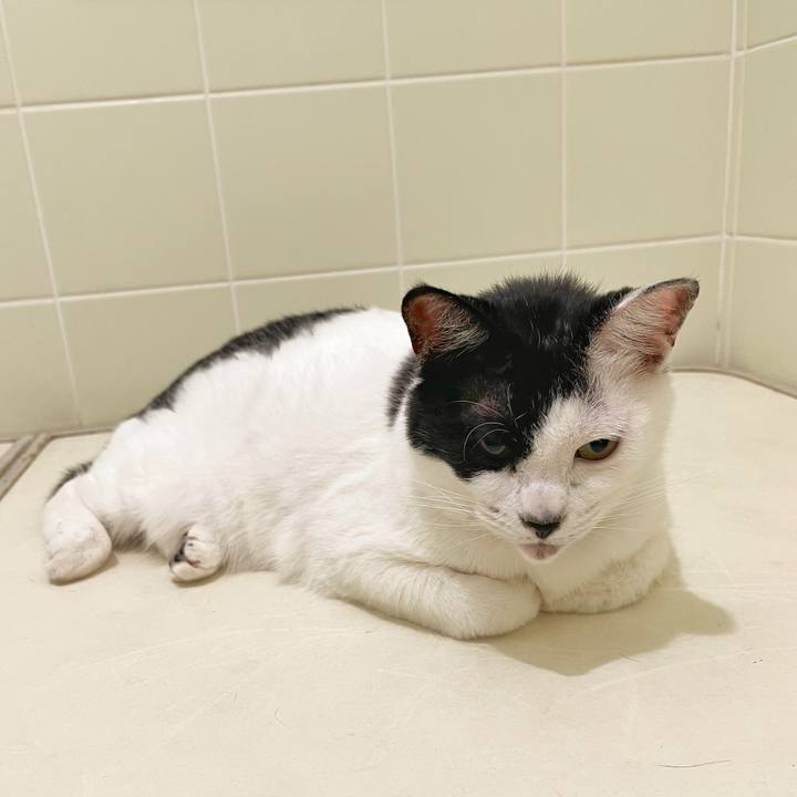 0d63d0b5 acb8 4221 b693 494ab7416404 1758753998571