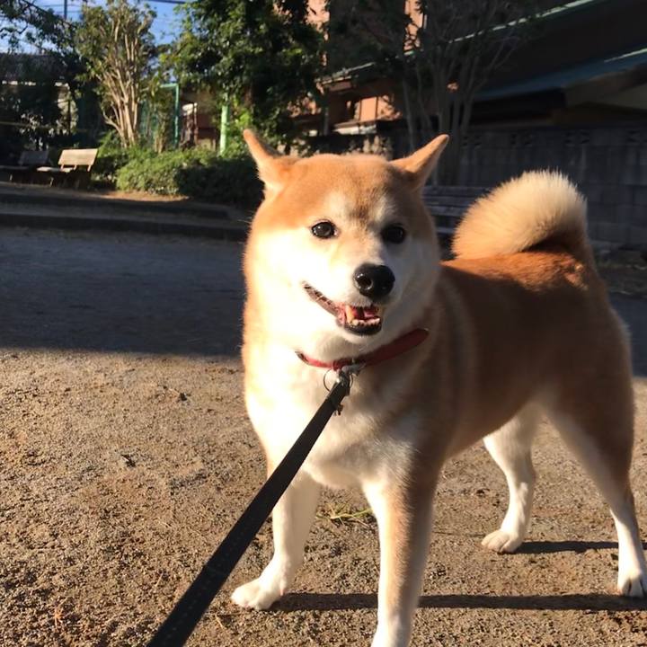 0d63da8c 3c82 44fc 8252 be8131b8f917 1573225261377