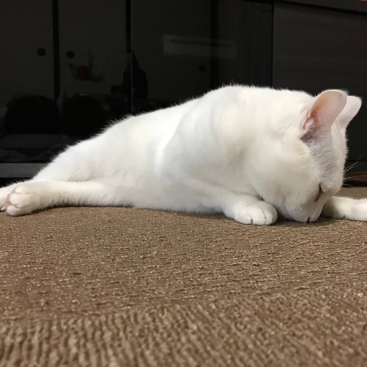 0d644b13 9523 4c4e 80e8 1ad5a7cc847d 1512098462882