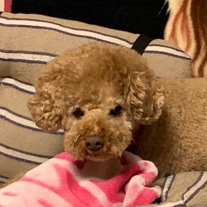 0d648608 6242 43c1 ad01 cb749f588651 1773381396384