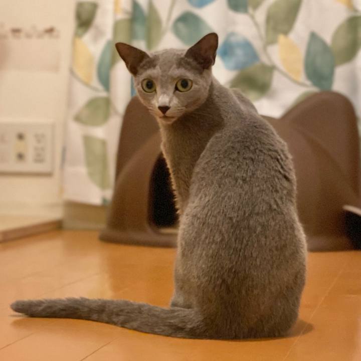 0d648657 7d55 43dd 9f32 9d71f7ebe32f 1690449762938