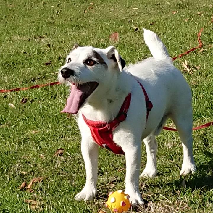 0d6487fd b1bd 4189 bf82 82d9298977e1 1543449690286