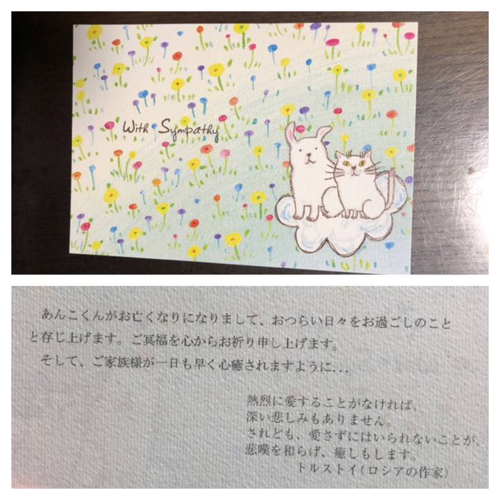 0d64aaac 9877 4ecf aba7 2d9f8e4d5027 1648262408103