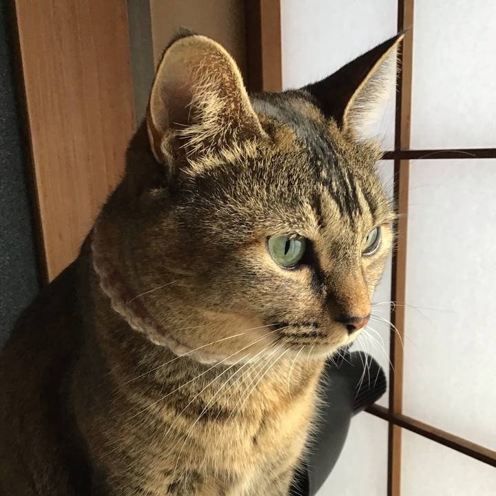 0d64d383 5be3 47c8 b2b4 2f68ddd45b4a 1666955062273