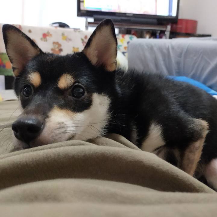 0d64dc4d 99d8 4702 afc1 343fef0b30df 1598862898389