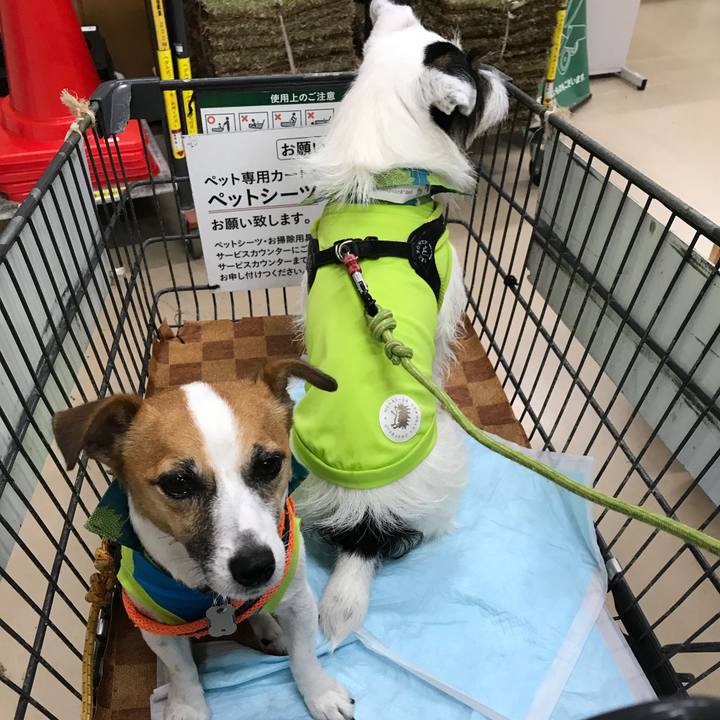 0d653212 9aec 44a0 91e3 fe28ce9d7c03 1536974762786