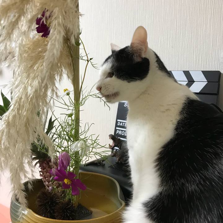 0d653efd e95d 444c b48f 3eba7bc2887d 1508150533909