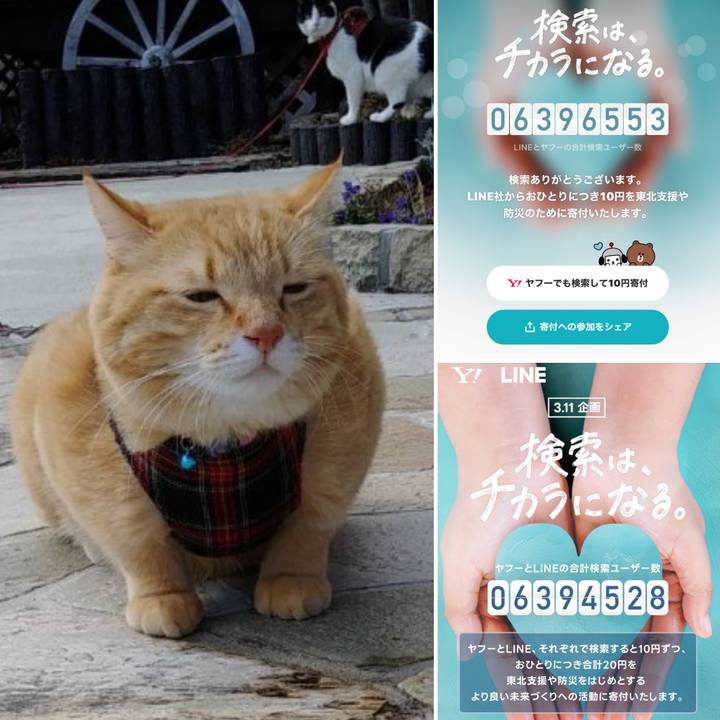 0d656ba3 9248 4f1c a2b1 0afde8d1a6ea 1678511466474