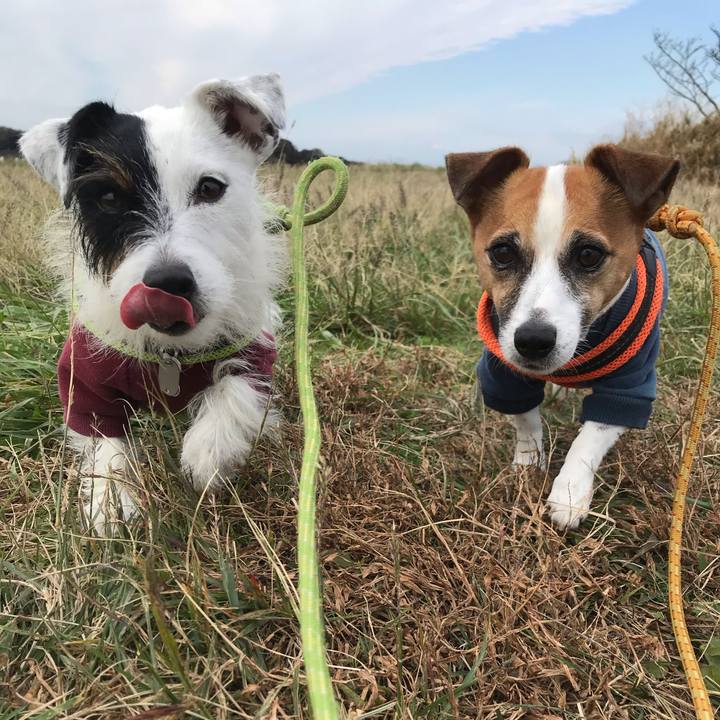 0d656dc2 c8b3 4f3b a51f c6127e3d9550 1541032100362