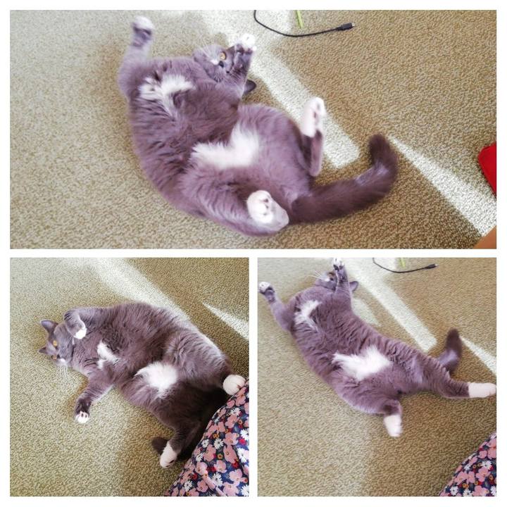 0d657c38 ad7d 40cc 9292 50ec7907531a 1638498061031