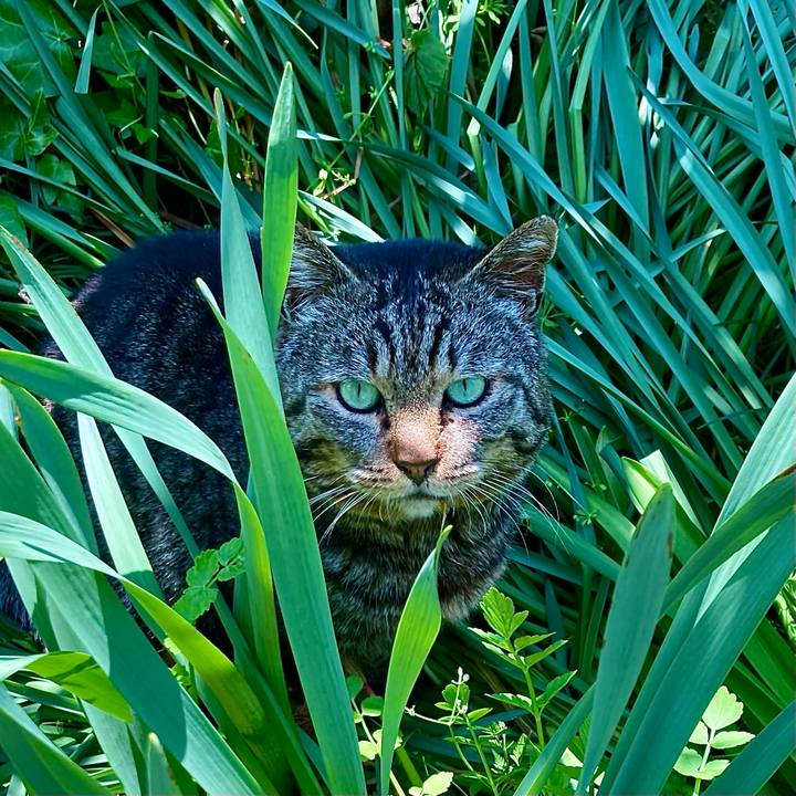 0d6598b3 1138 43ab 80a4 2a4d1521d2d8 1683686029191