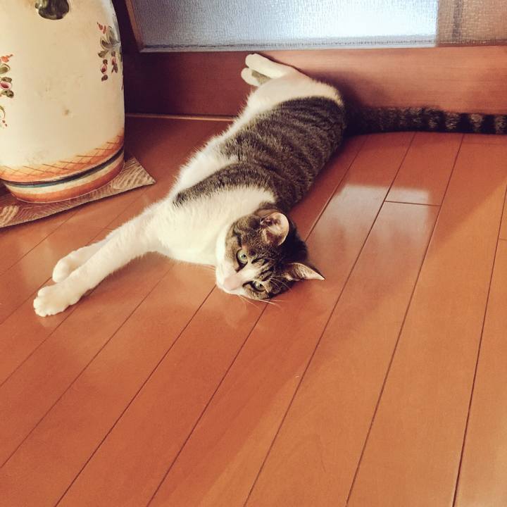 0d659dfb 3073 4450 b5d1 f141cd170517 1527121359719