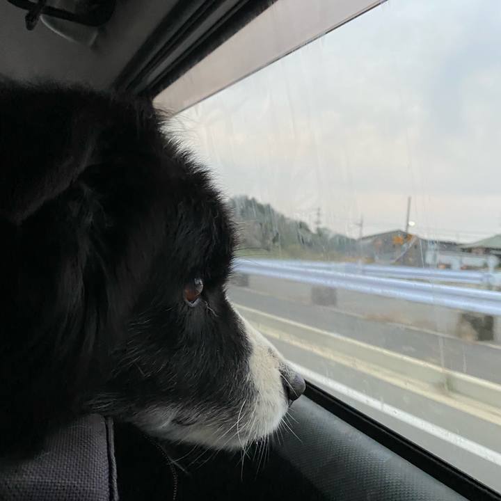 0d65e162 6093 4283 a3bd 4f7b4614a55f 1668636155719