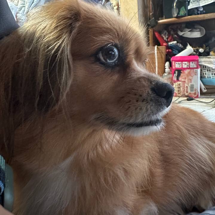 0d65f000 4f8b 4c39 934f 3529e5baf58e 1696886471847