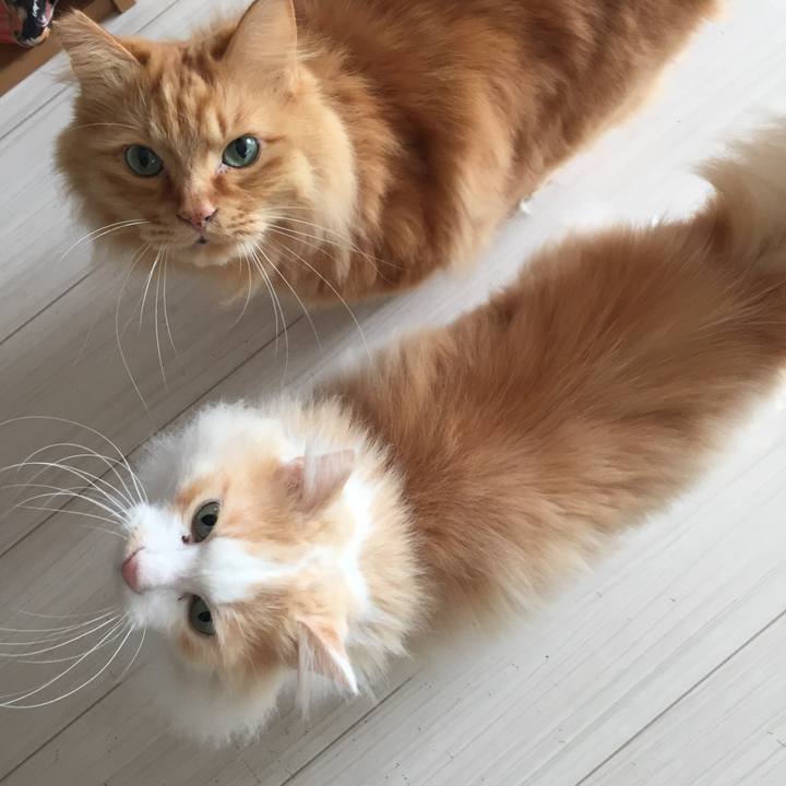 0d65f065 469a 4c10 bd32 4e6301e7e013 1520718847724