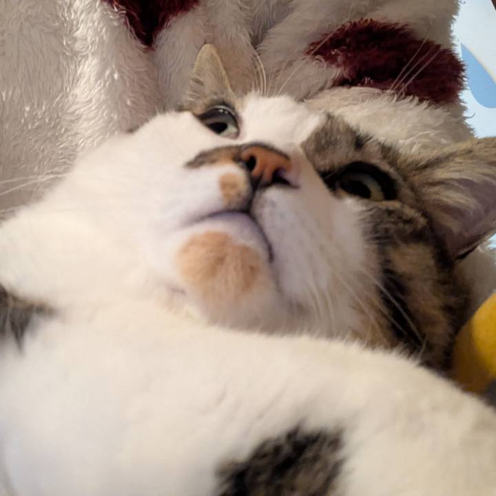 0d6602a1 f047 4fdd a4a6 6170ab78d926 1767096020532