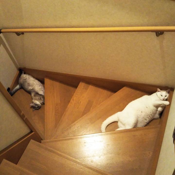 0d661f9e b42b 4eef 9035 4f062499daf5 1627733991426