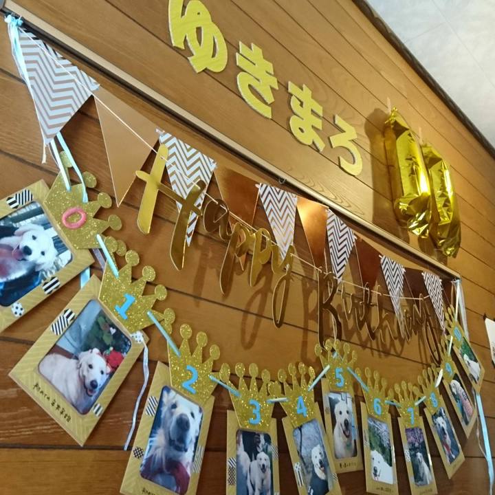 0d662068 57c3 4be6 89d4 a4dd36ac287a 1549834774159